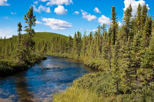 Northern Saskatchewan Creek — Stock Photo, Image