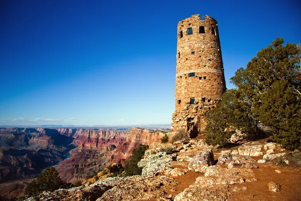 Vakttornet på grand canyon Stockbild