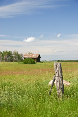 Prairie Landscape clipart