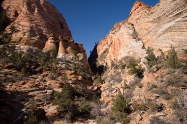 Landscape of Zion National Park clipart