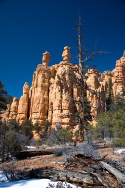 Red Rock Canyon Hoodoos