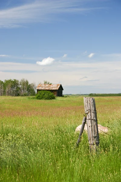 Prairie Landscape — Stock Photo, Image