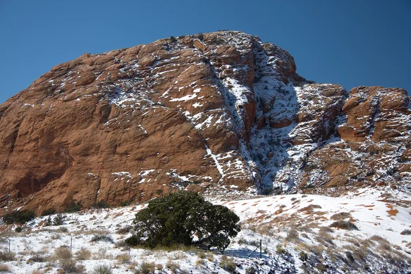Schnee in der arizonischen Landschaft — Stockfoto