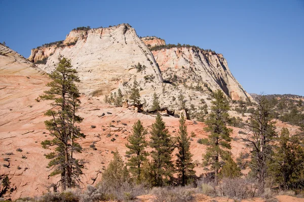 Zion National Park Landscape — Stock Photo, Image