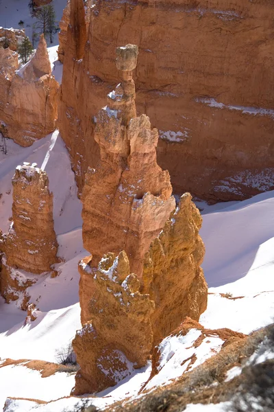 Bryce canyon γρουσούζης — Φωτογραφία Αρχείου