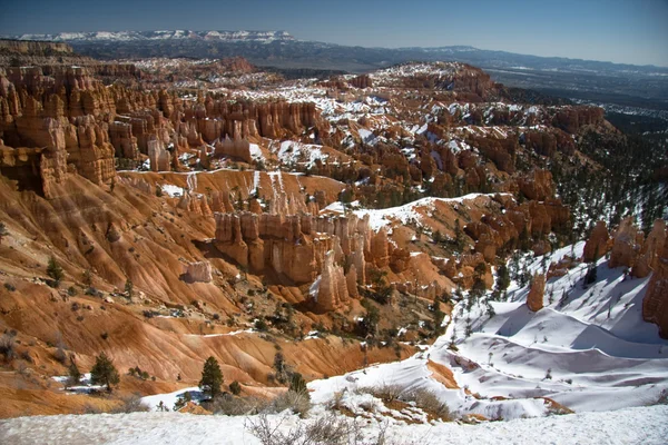 Bryce amphitheater im winter — Stockfoto