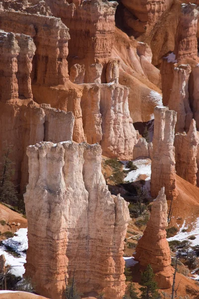 Bryce Canyon Hoodoo — Stock Photo, Image