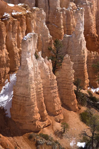Bryce canyon σχηματισμούς — Φωτογραφία Αρχείου