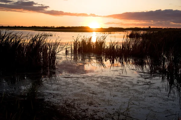 Coucher de soleil sur un marais des Prairies — Photo