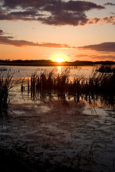 プレーリー沼に沈む夕日 — ストック写真