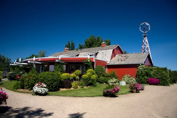 Saskatoon berry stodola — Stock fotografie