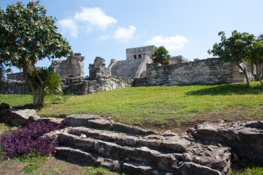 El Castillo Temple at Tulum clipart