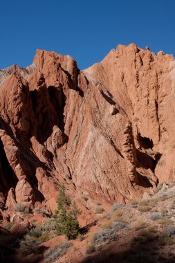 Grand Staircase-Escalante Ulusal Anıtı