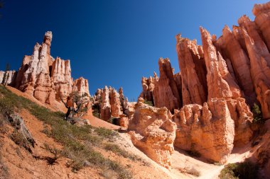 bryce canyon Milli Parkı hoodoos