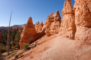 Bryce Kanyonu Ulusal Parkı