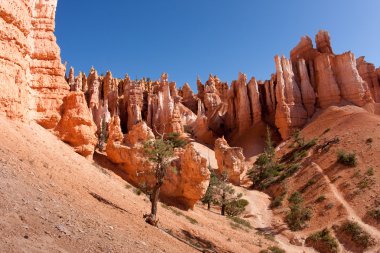 Bryce Kanyonu Ulusal Parkı