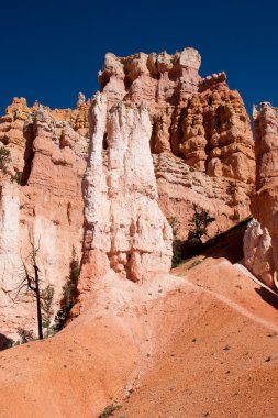 bryce canyon Milli Parkı hoodoos