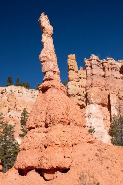 bryce canyon Milli Parkı hoodoos