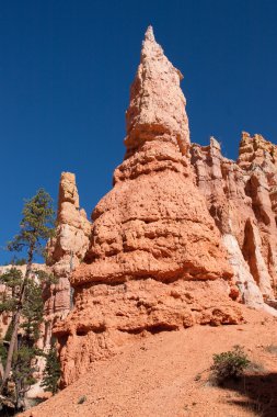 bryce canyon Milli Parkı hoodoos