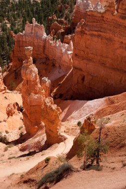 Bryce Kanyonu 'ndaki Peri Diyarı Döngü Yolu