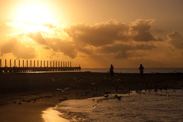 Soluppgång på stranden — Stockfoto