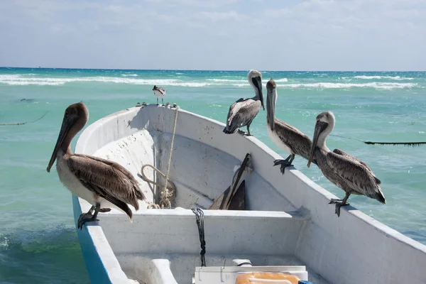 stock image Hanging out on the Fishing Boat