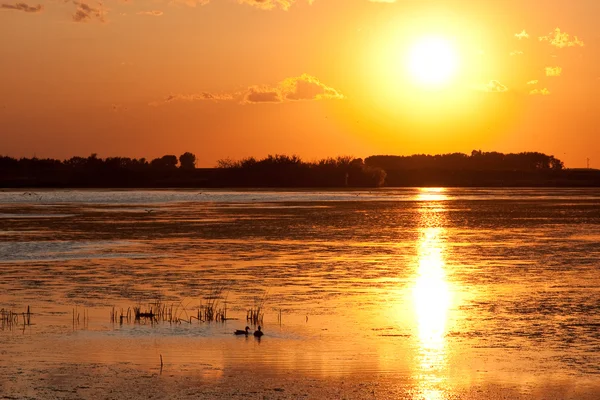 Prärie Sonnenuntergang auf Teich — Stockfoto