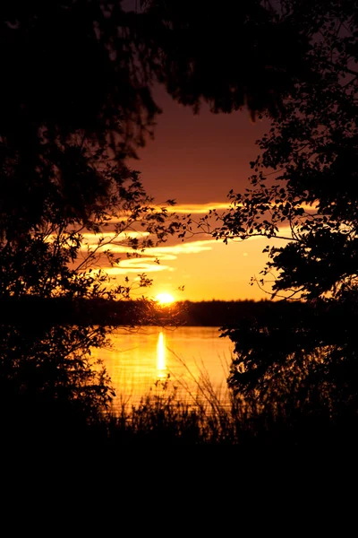 Zonsondergang door bush — Stockfoto