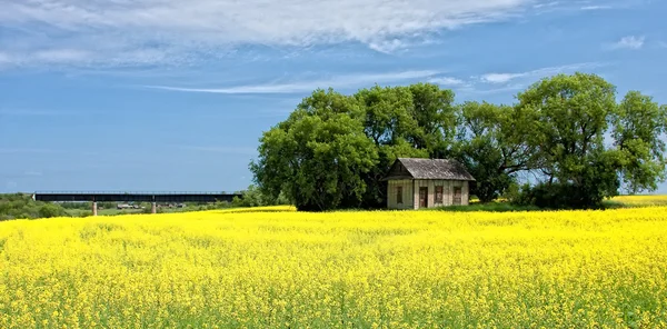 Pequena casa nas pradarias — Fotografia de Stock