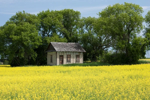 Pequeña casa en las praderas — Foto de Stock