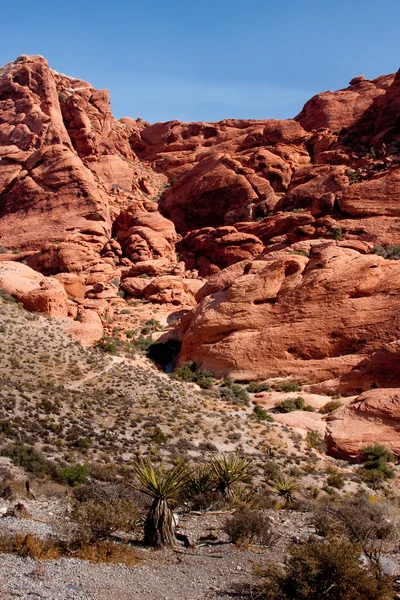 Red Rock Canyon a oeste de Las Vegas, Nevada — Fotografia de Stock