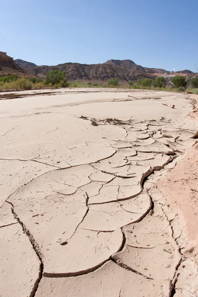Cracks in the River Bed — Stock Photo, Image
