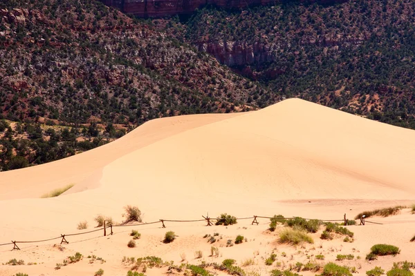 stock image Coral Pink Sand Dunes