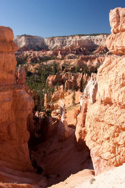 Bryce canyon weergave — Stockfoto