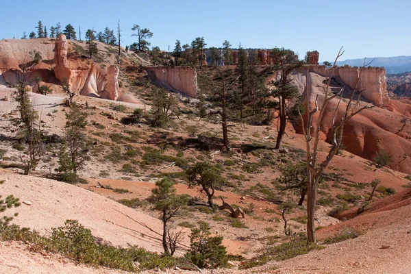 Bryce canyon landschap — Stockfoto