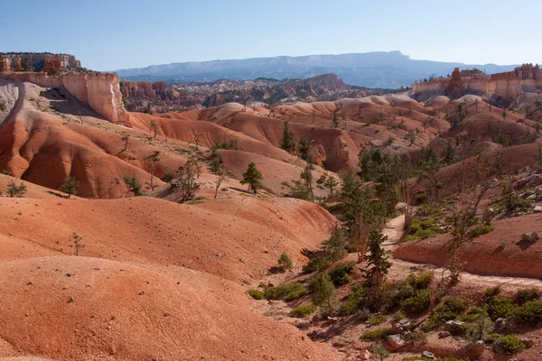 Glooiende landschap van bryce canyon — Stockfoto