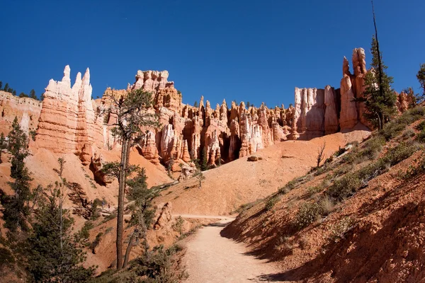 Fairyland Loop Trail in Bryce Canyon — Stock Photo, Image