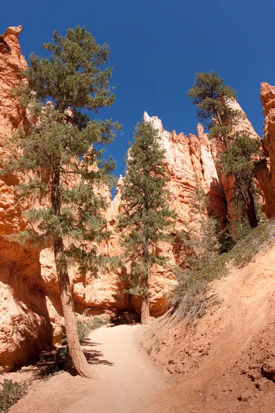 Fairyland Loop Trail nel Bryce Canyon — Foto Stock