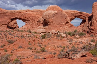 The Windows at Arches National Park clipart