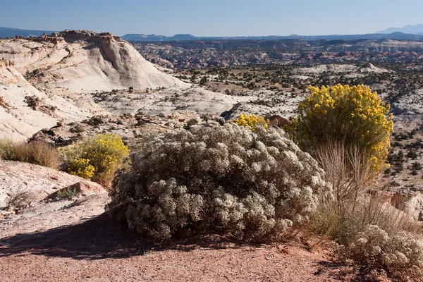 Rocks and terrain on Highway 12 near Escalante, Utah — Stock Photo, Image