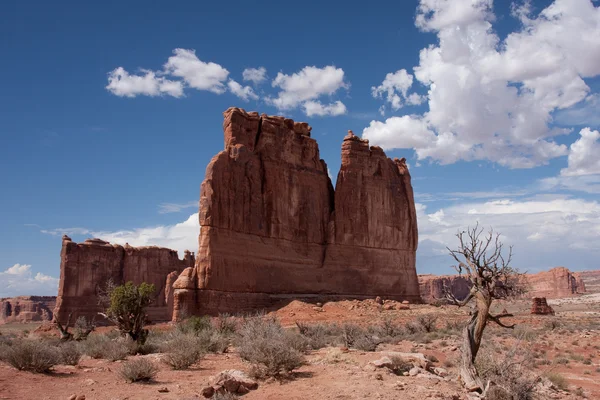 The Organ at Arches National Park — Stock Photo, Image