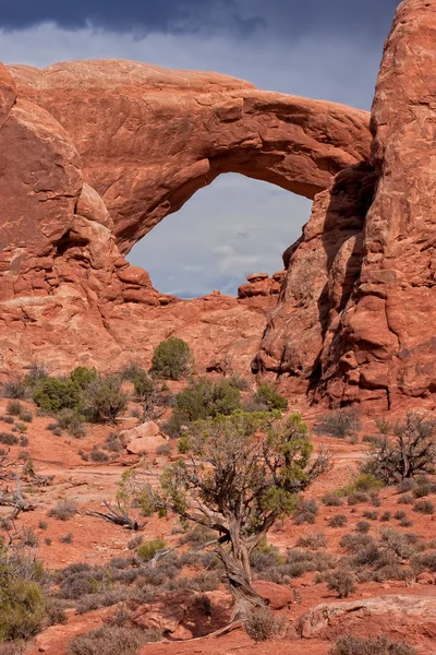 Noord venster op het arches national park — Stockfoto