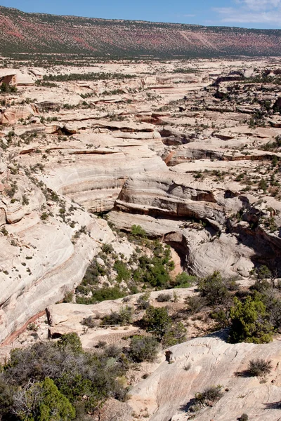 Armstrong kanion — Zdjęcie stockowe