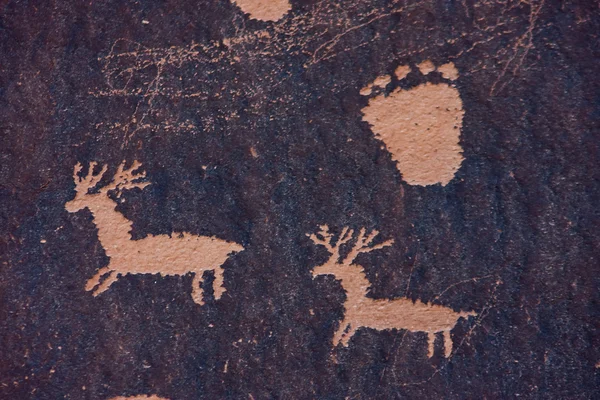 Petroglyphs at Newspaper Rock, Indian Creek, Utah — Stock Photo, Image