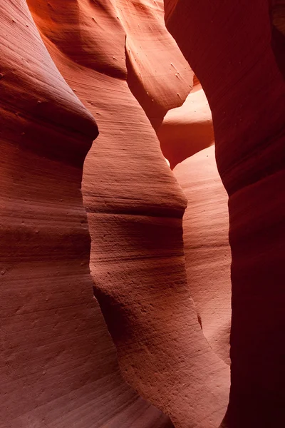 Lower Antelope Canyon — Stockfoto