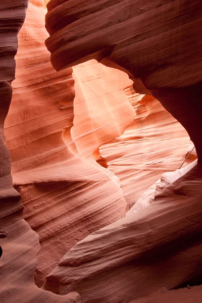Väggarna i lägre antelope canyon — Stockfoto