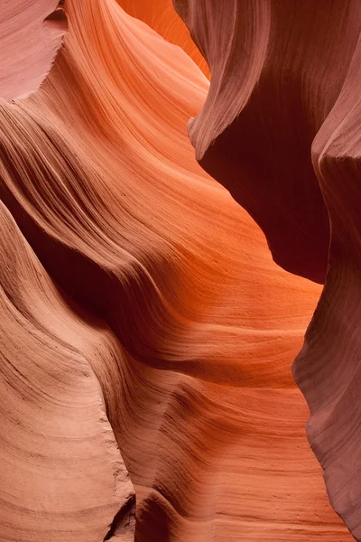 stock image The Walls of Lower Antelope Canyon