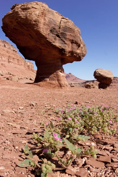 Egy kiegyensúlyozott sziklák a glen canyon nemzeti üdülőterületen — Stock Fotó
