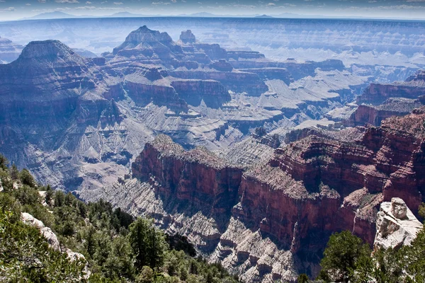 Orlo nord del Grand Canyon — Foto Stock