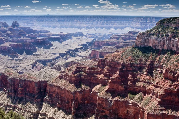 Severní okraj Grand Canyonu — Stock fotografie